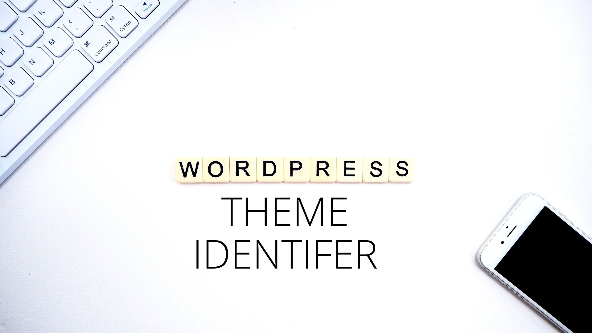 wp theme identifier, wp theme detection,WP Theme Identifier: Check Which Wordpress theme is Installed on Any Website